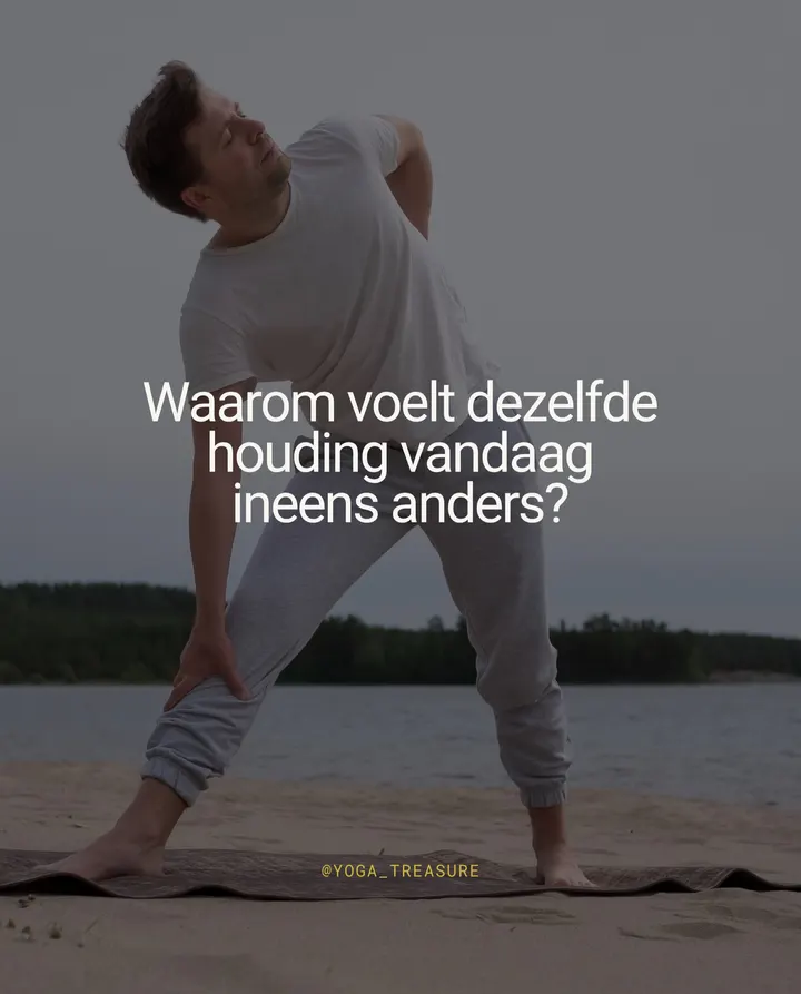Yoga Treasure — yoga-studio in Alphen aan den Rijn — 3