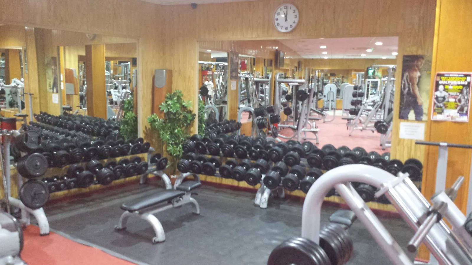 BULLGYM — estudio de fitness-studio en Motril — 3