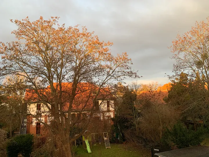 Hier & Jetzt - MBSR — meditation-studio in Lichterfelde, Berlin — 2