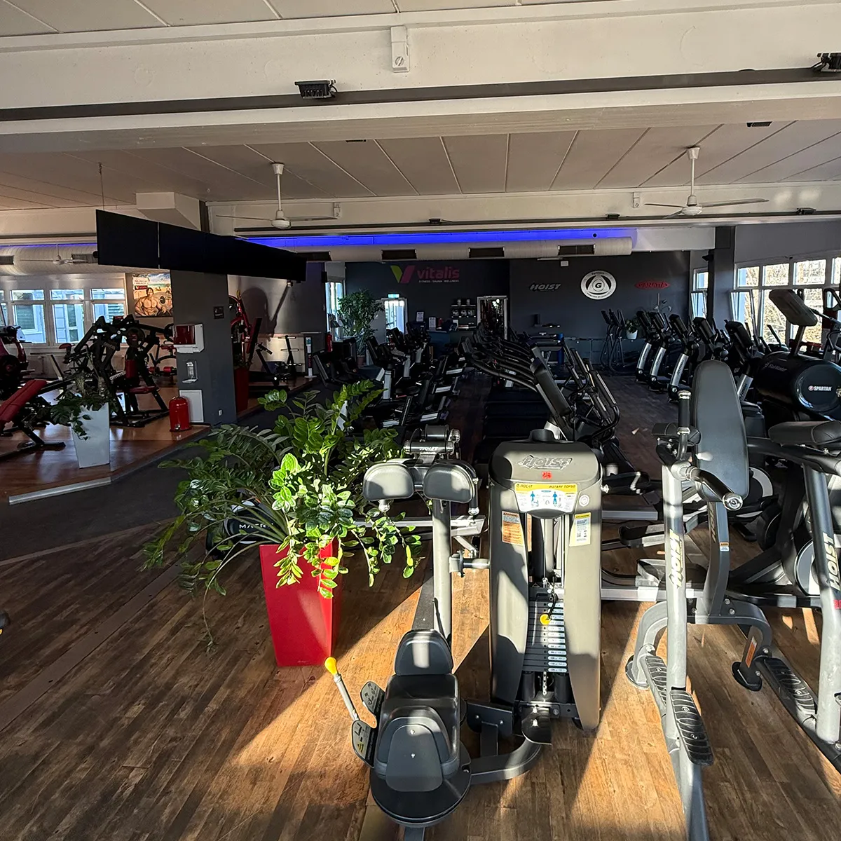 Vitalis Fitness Sauna Wellness — wellness-studio i München — 4