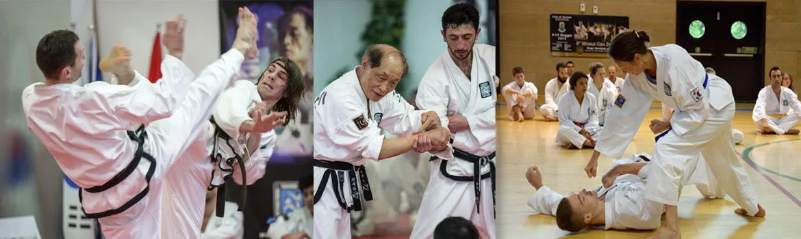 Traditional Taekwon-Do Center Freiburg — kampfsport-studio in Altstadt-Mitte, Freiburg im Breisgau — 2