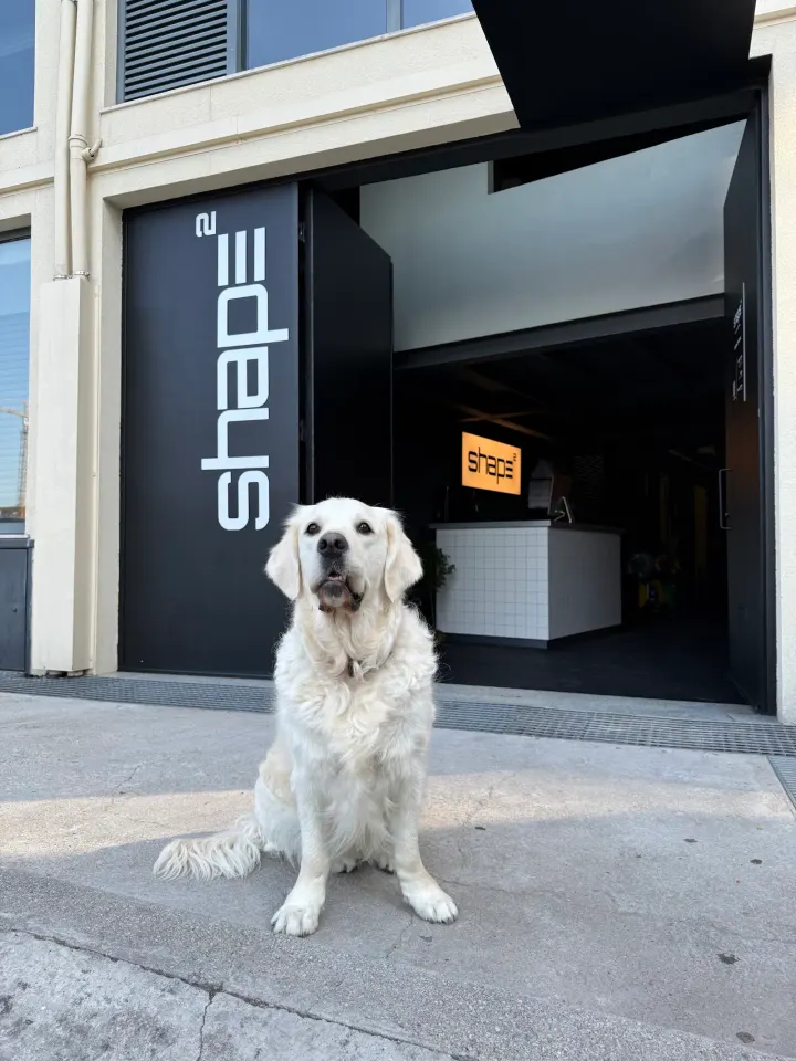 ShapeLab2 — Ginásio em Maximinos, Braga