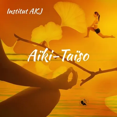 Institut D'Aïkido AKJ — arts martiaux-studio au Piol, Nice — 2