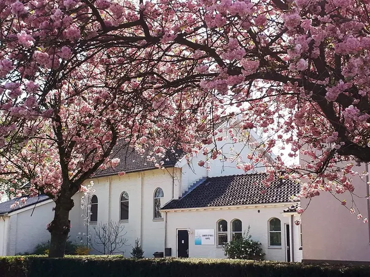 Amodã Yoga — Yoga in Duiven