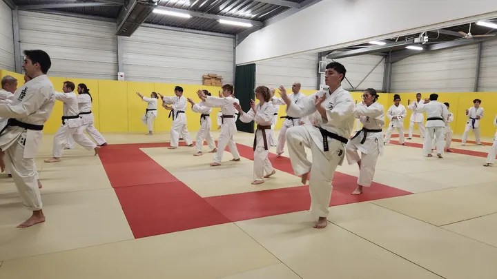 Karaté Uechi-ryu — Arts martiaux à Maisons-Laffitte