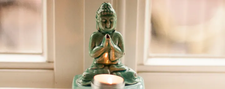 The Yoga Tree 🧘 — yoga-studio in Zuiderheide, Hilversum — 2