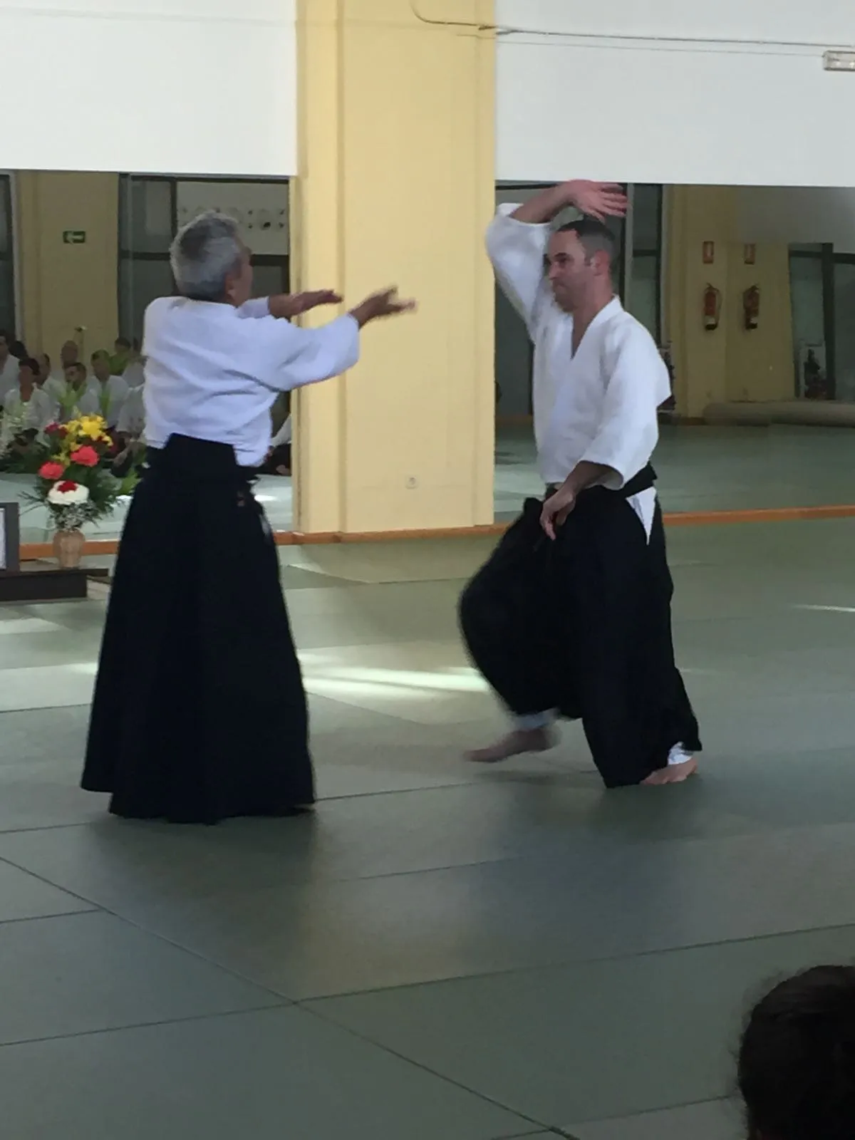 Aikido Acae Málaga — artes marciales-studio en Carretera de Cádiz, Málaga — 3