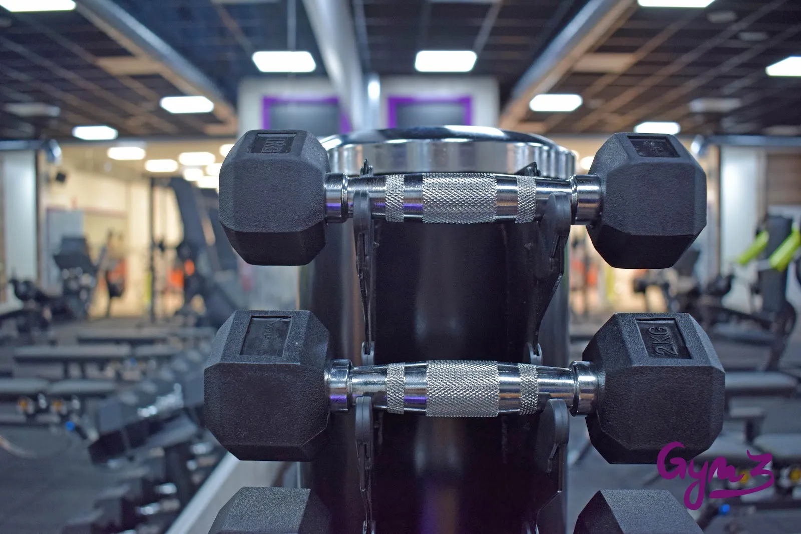 Gym3 — estudio de fitness-studio en Jumilla — 3