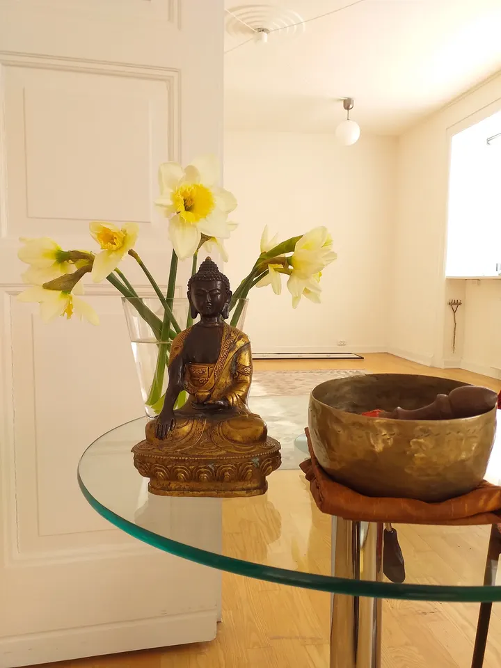 Indsigtsmeditation-Vipassana — Meditation i Indre By, København