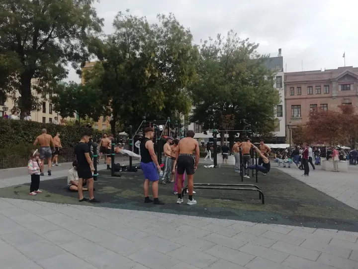 Parque Calistenia - Puerta de Toledo - Plaza del Campillo del Mundo Nuevo — calisthenics-studio en Embajadores, Madrid — 3