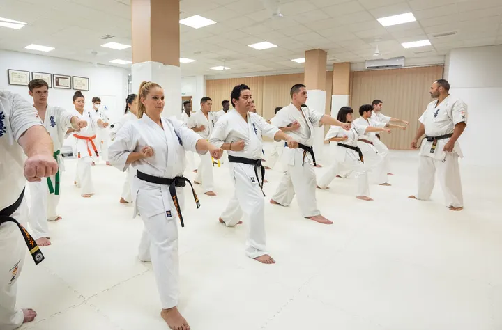 Alcazar Dojo — Artes marciales en Buenos Aires, Murcia