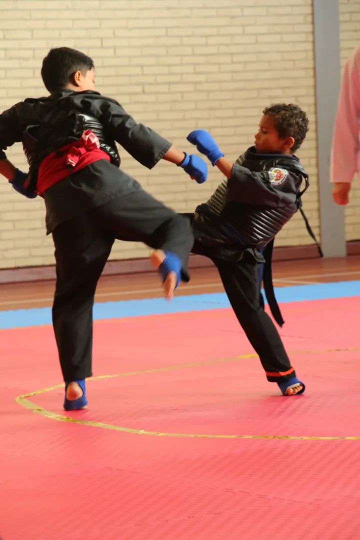 Manyang Den Helder — vechtsport-studio in Walvisvaarderbuurt, Den Helder — 3