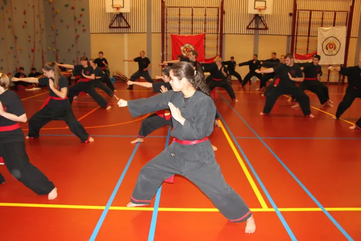 Manyang Den Helder — vechtsport-studio in Den Helder — 4