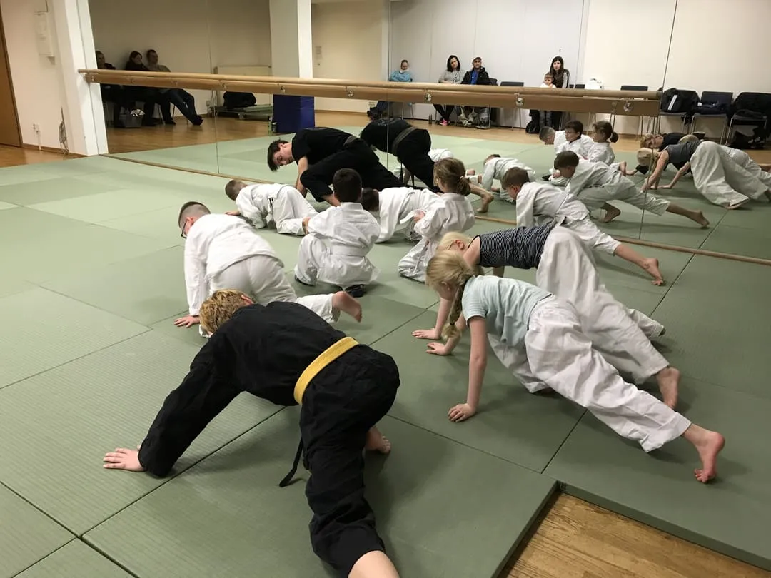 Ninjutsu Akademie Poppenbüttel — kampfsport-studio in Poppenbüttel, Hamburg — 2