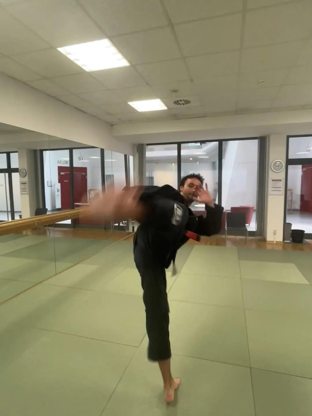 Ninjutsu Akademie Poppenbüttel — kampfsport-studio in Poppenbüttel, Hamburg — 3