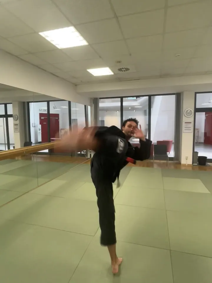 Ninjutsu Akademie Poppenbüttel — kampfsport-studio in Poppenbüttel, Hamburg — 3