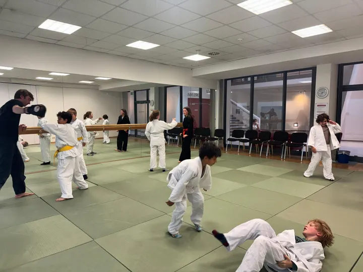 Ninjutsu Akademie Poppenbüttel — Kampfsport in Poppenbüttel, Hamburg