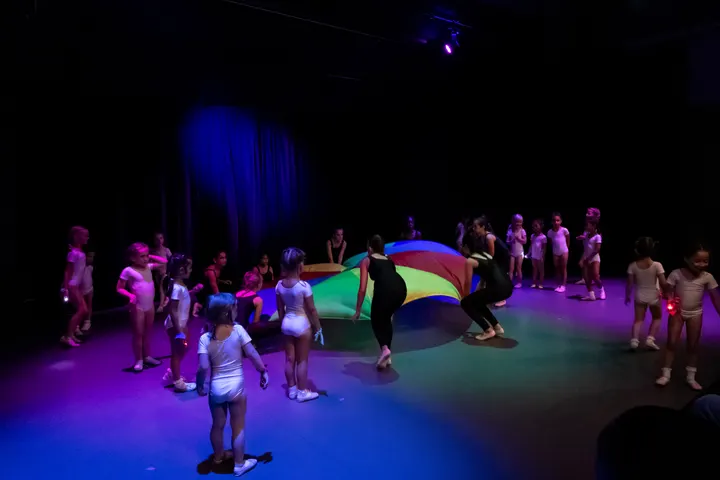 Danszaandam, balletschool — dans-studio in Zaandam — 3