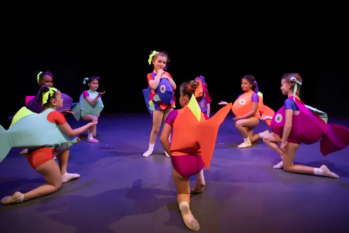 Danszaandam, balletschool — dans-studio in Zaandam — 4