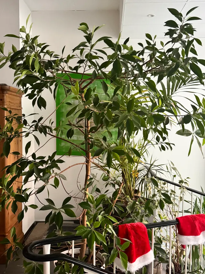 Salznah Salzraum — yoga-studio in Neustadt/Nord, Köln — 3
