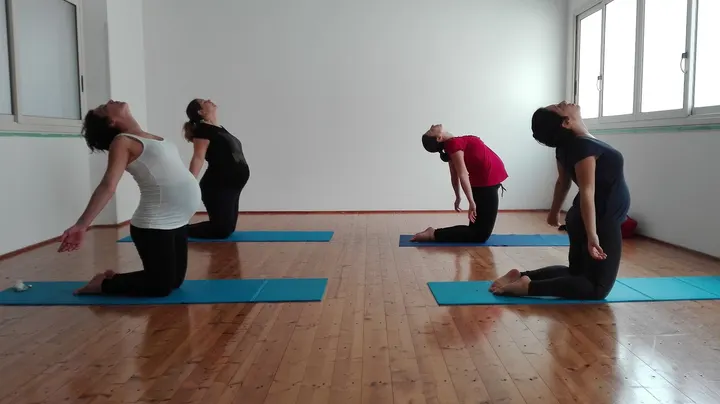 Accademia Dharma Yoga — yoga-studio a VIII Circoscrizione, Palermo — 2