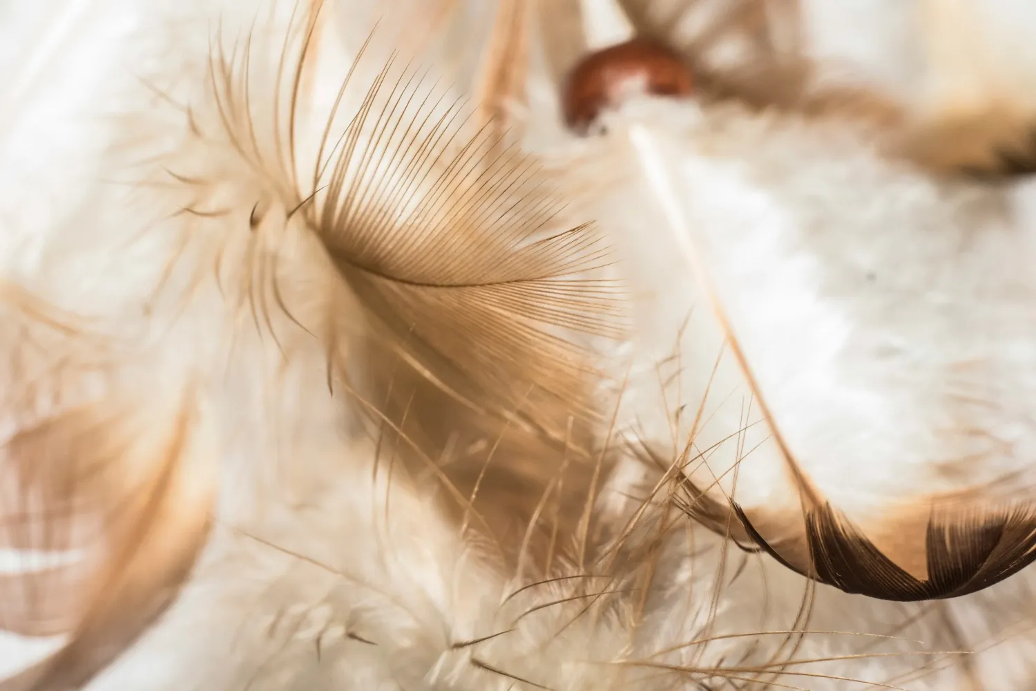 Yoga19 Waiblingen — yoga-studio i Stuttgart — 3