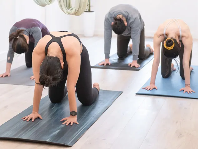 Green Yoga — yoga-studio i Bullerup, Agedrup — 2