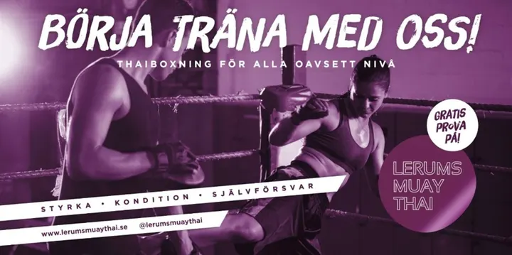 Lerums Muay Thai Klubb — martial arts-studio i Stenkullen, Stenkullen