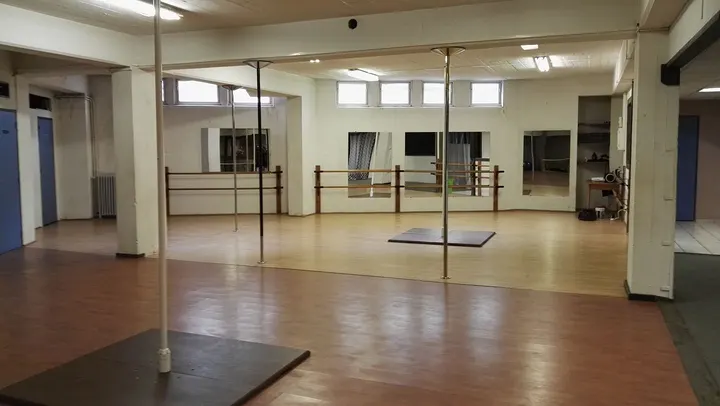 Dragon pole dance — pole fitness-studio à Besançon — 4