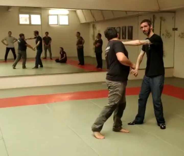 Systema Aix — arts martiaux-studio à Pont de l'Arc, Aix-en-Provence — 2