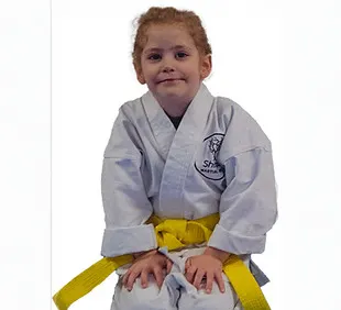 Shinpo Martial Arts — martial arts-studio in Chorley Moor, Chorley — 3