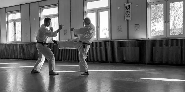 Wado-Ryu Karate-Do Nürnberg — Martial Arts in Großreuth b. Schweinau, Nürnberg