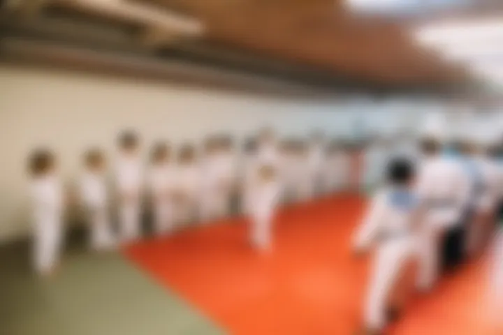 IK Västra Mölndal Judo (IKVM) — kampsport-studio i Göteborg — 3