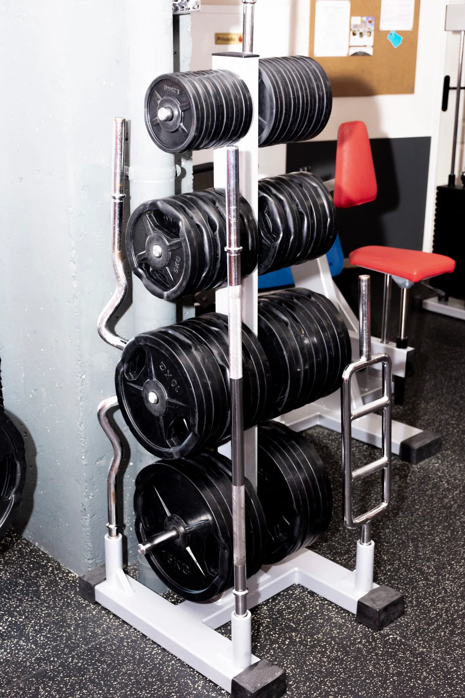 Gimnasio 365 Fitness Gym — estudio de fitness-studio en Los Santos de la Humosa — 5