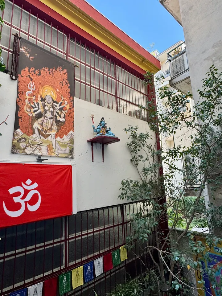 Institut Yoga Iyengar Nice — yoga-studio à Nice — 5