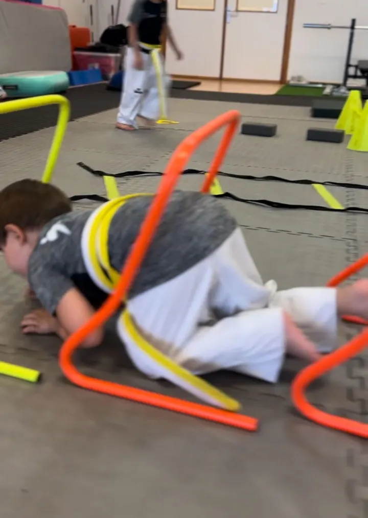 Escuela De Taekwondo Aljamar — artes marciales-studio en Tomares, Sevilla — 2