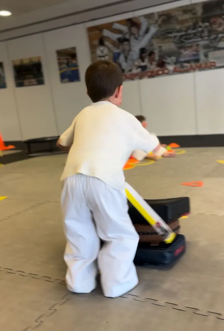 Escuela De Taekwondo Aljamar — Artes marciales en Tomares, Sevilla