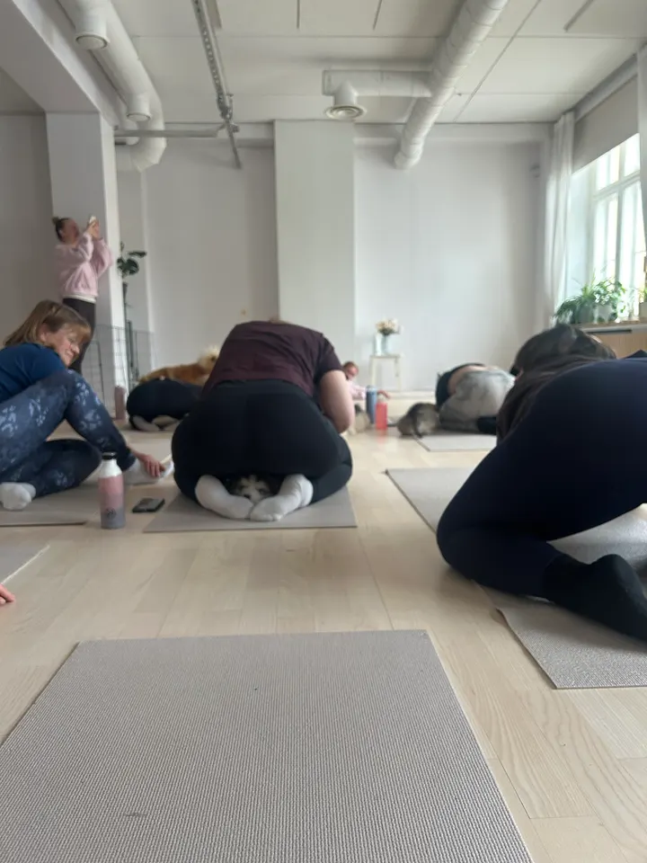 Lavly Tampere — jooga-studio – Tampere — 4