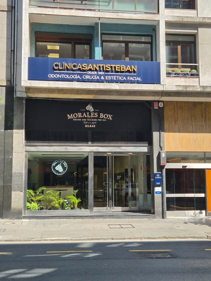 Boxeo — Artes marciales en Ibarrekolanda, Bilbao