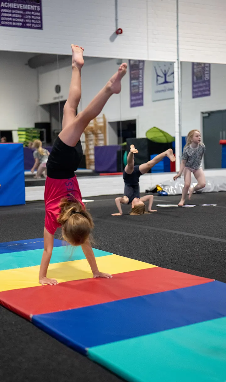 Majestic Gymnastics Academy — gymnastics-studio in Taunton — 2