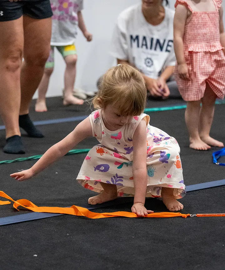 Majestic Gymnastics Academy — gymnastics-studio in Taunton — 3