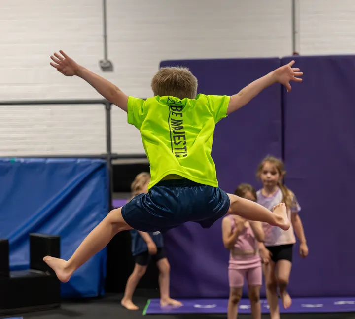 Majestic Gymnastics Academy — gymnastics-studio in Taunton — 3