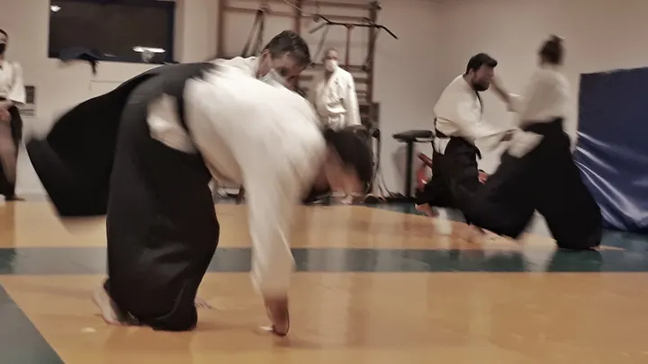 Dojo Aikido Villava — artes marciales-studio en Villava/Atarrabia — 3