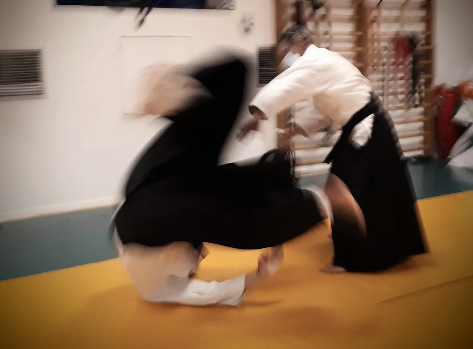 Dojo Aikido Villava — artes marciales-studio en Villava/Atarrabia — 3