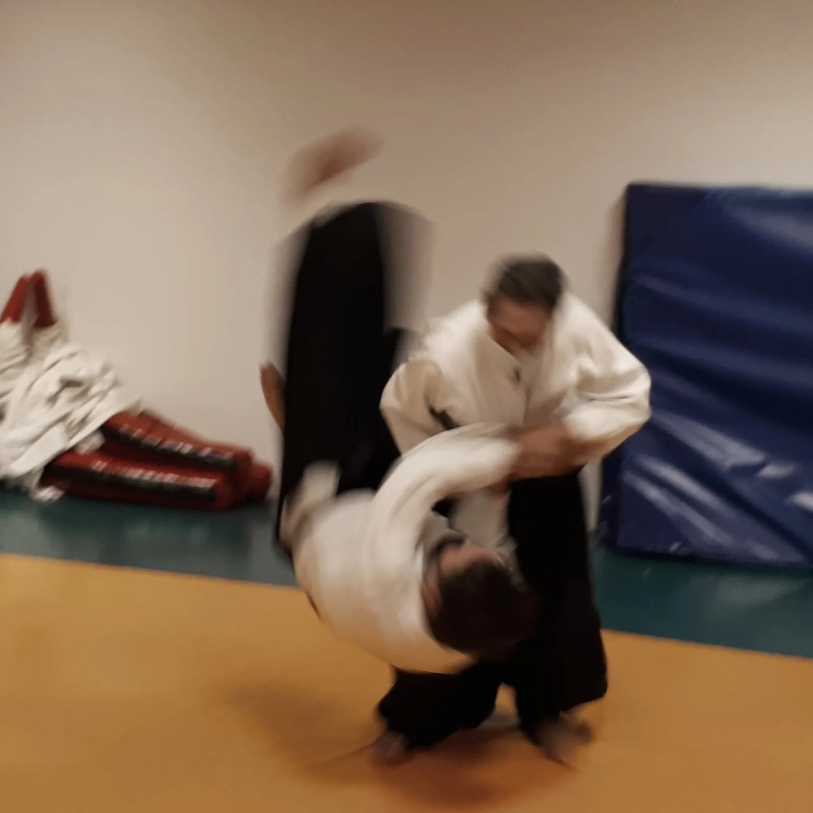 Dojo Aikido Villava — artes marciales-studio en Villava/Atarrabia — 4