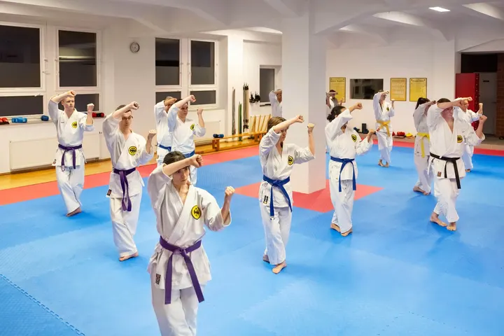 Seibukan Karate Dojo Leipzig — kampfsport-studio in Leipzig — 3