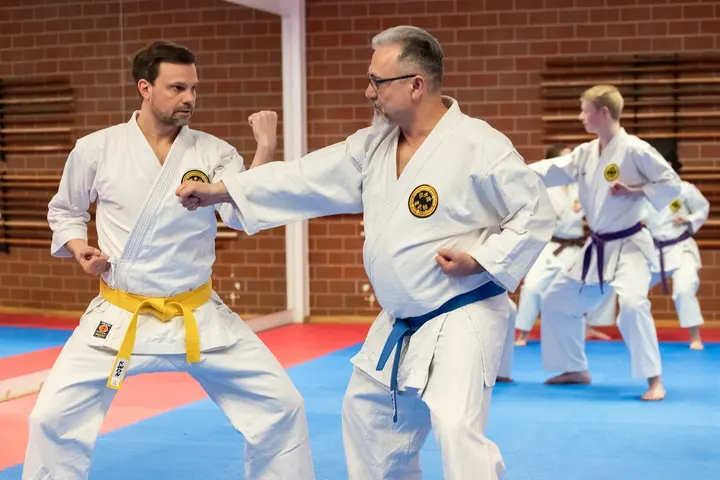 Seibukan Karate Dojo Leipzig — kampfsport-studio in Leipzig — 5