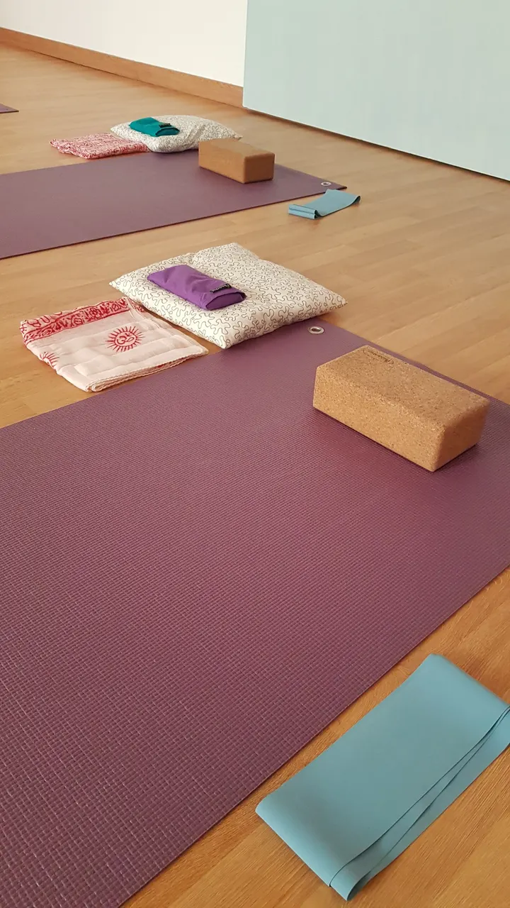 Espluioga — yoga-studio en Barcelona — 3