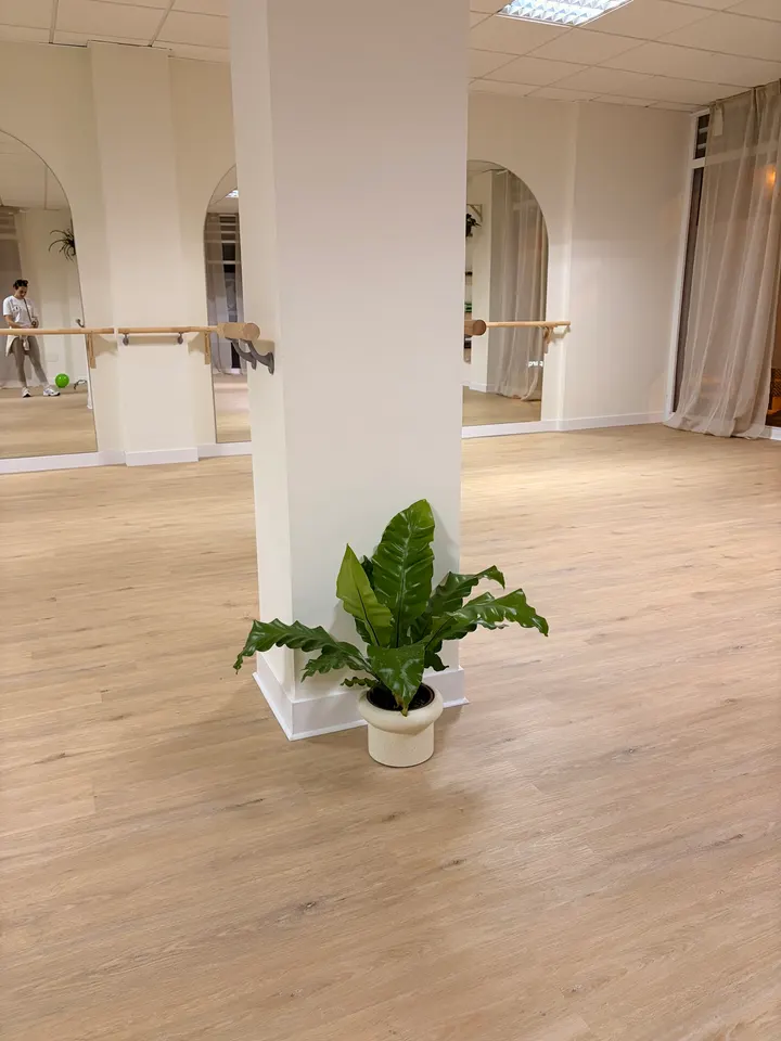 Barre y Balance by Pausic — barre-studio en Santa Cruz de Tenerife — 3