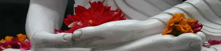 Himalaya Yoga — Yoga in Rauwenhof, Tiel